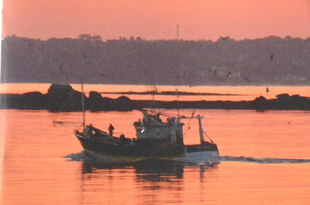 Appartement Corniche I 40 M2 - 40 M De L'Eau ! Au Calme Wir Sprechen Flieben Deutsch, Touristentipps, We Speak English Concarneau Bagian luar foto